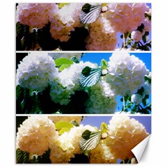 Snowball Branch Collage (i) Canvas 8  X 10  by okhismakingart