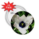 Blue Centered Tulip 2.25  Buttons (10 pack)  Front