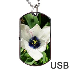 Blue Centered Tulip Dog Tag Usb Flash (one Side) by okhismakingart