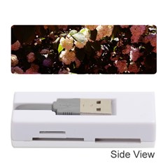 Pink Snowballs Ii Memory Card Reader (stick) by okhismakingart