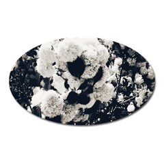 High Contrast Black And White Snowballs Oval Magnet by okhismakingart