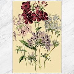 Botanical Print Antique Flora Plant Canvas 20  X 30  by Pakrebo