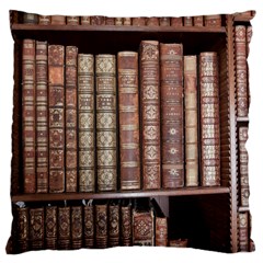 Library Books Knowledge Large Cushion Case (one Side) by Simbadda