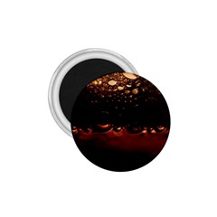 Water Drops Bubbles Macro Close Up Brown 1 75  Magnets by Vaneshart