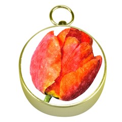 Spring Tulip Red Watercolor Aquarel Gold Compasses