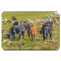 Cows At Countryside, Maldonado Department, Uruguay Large Doormat  by dflcprints