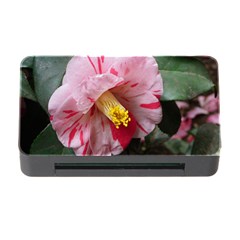 Striped Pink Camellia Ii Memory Card Reader With Cf by okhismakingart