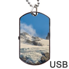 Snowy Andes Mountains, Patagonia - Argentina Dog Tag Usb Flash (two Sides) by dflcprintsclothing
