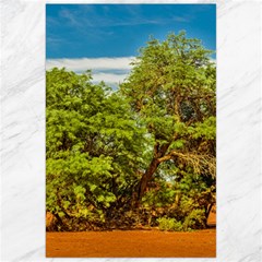 Carob Tree, Talampaya National Park, La Rioja, Argentina Canvas 24  X 36  by dflcprintsclothing