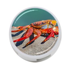 Colored Crab, Galapagos Island, Ecuador 4-port Usb Hub (one Side) by dflcprintsclothing