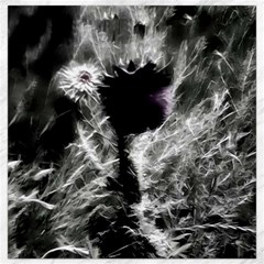 Pick Me Canvas 16  X 16  by MRNStudios