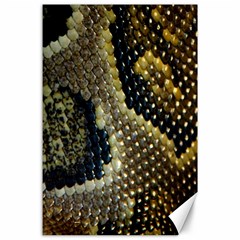 Leatherette Snake 2 Canvas 24  X 36  by skindeep