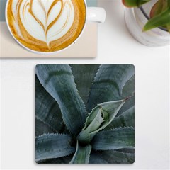 The Agave Heart Under The Light Uv Print Square Tile Coaster  by DimitriosArt