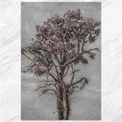 Big Tree Photo Illustration Canvas 12  X 18  by dflcprintsclothing