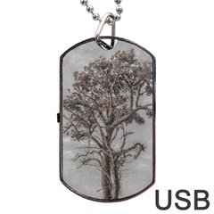 Big Tree Photo Illustration Dog Tag Usb Flash (one Side) by dflcprintsclothing