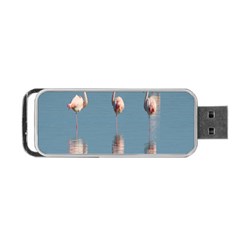 Flamingo Birds Plumage Sea Water Portable Usb Flash (one Side) by artworkshop