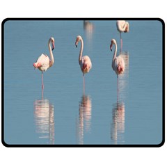 Flamingo Birds Plumage Sea Water Animal Exotic Double Sided Fleece Blanket (medium)  by artworkshop