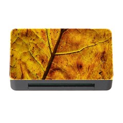 Leaf Leaf Veins Fall Memory Card Reader With Cf by artworkshop