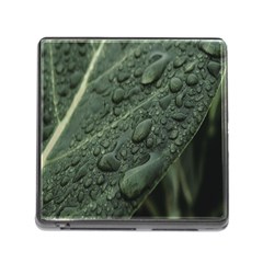 Leaves Water Drops Green  Memory Card Reader (square 5 Slot) by artworkshop