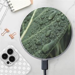 Leaves Water Drops Green  Wireless Charger by artworkshop