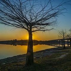 Grande Stream Landscape, Flores, Uruguay002 Play Mat (rectangle) by dflcprintsclothing