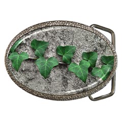 Vine On Damaged Wall Photo Belt Buckles by dflcprintsclothing