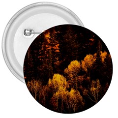Autumn Fall Foliage Forest Trees Woods Nature 3  Buttons