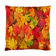 Autumn Background Maple Leaves Standard Cushion Case (two Sides) by artworkshop