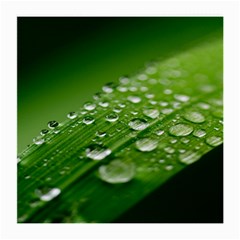 Green Water Leaf Medium Glasses Cloth by artworkshop
