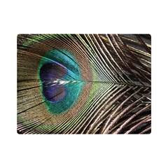 Peacock One Side Premium Plush Fleece Blanket (mini) by StarvingArtisan