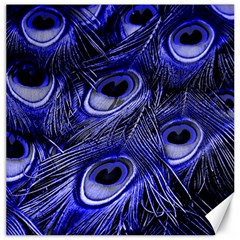Purple Peacock Feather Canvas 16  X 16 