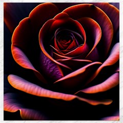 Purple Flower Rose Flower Black Background Canvas 16  X 16  by Ravend