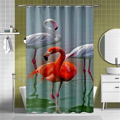 Birds Shower Curtain 48  X 72  (small) 