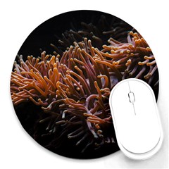 Sea Anemone Coral Underwater Ocean Sea Water Round Mousepad by pakminggu