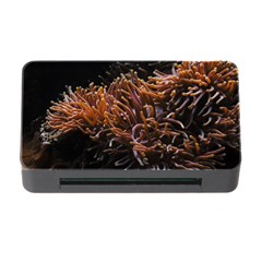 Sea Anemone Coral Underwater Ocean Sea Water Memory Card Reader With Cf by pakminggu