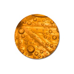 Lime Water Bubbles Macro Light Detail Background Magnet 3  (round) by Mog4mog4