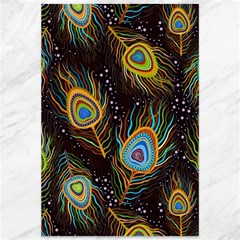 Pattern Feather Peacock Canvas 12  X 18 