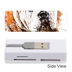 Bulldog T- Shirt English Bulldog Animal Wildlife Forest Nature Discovery Fauna T- Shirt Memory Card Reader (stick) by JamesGoode