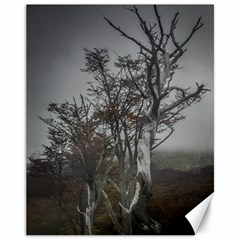 Nature s Resilience: Tierra Del Fuego Forest, Argentina Canvas 11  X 14  by dflcprintsclothing