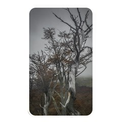 Nature s Resilience: Tierra Del Fuego Forest, Argentina Memory Card Reader (rectangular) by dflcprintsclothing
