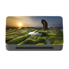 Coast Algae Sea Beach Shore Memory Card Reader With Cf by Sarkoni