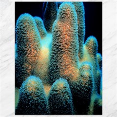 Photo Coral Great Scleractinia Canvas 12  X 16 