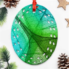 Sunlight Filtering Through Transparent Leaves Green Blue Oval Filigree Ornament (two Sides) by Ket1n9