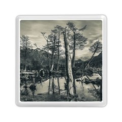 Dry Forest Landscape, Tierra Del Fuego, Argentina Memory Card Reader (square) by dflcprintsclothing