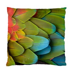 Parrot Feathers Texture Feathers Backgrounds Standard Cushion Case (two Sides)
