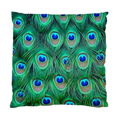 Peacock Feathers, Bonito, Bird, Blue, Colorful, Feathers Standard Cushion Case (two Sides)