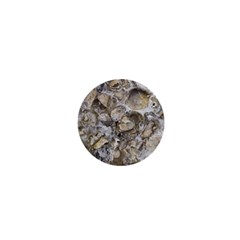 Fossilized Seashell Texture Print Design Bk 1  Mini Magnets by dflcprintsclothing