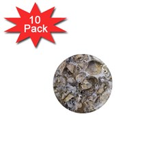 Fossilized Seashell Texture Print Design Bk 1  Mini Magnet (10 Pack)  by dflcprintsclothing