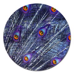 Peacock Bird Feathers Coloured Plumage Magnet 5  (round) by Perong