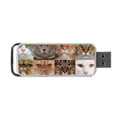 Breeds Of Cats Collage Portable Usb Flash (two Sides) by kyorashop23